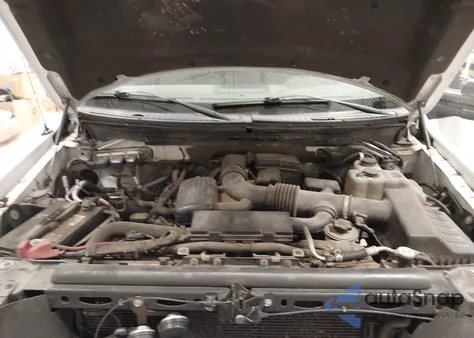 2010 Ford F-150 Xl/Xlt from USA, damaged, VIN 1FTMF1EV3AFB99182